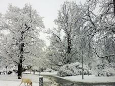 Aspettando neve: quando arriva l’inverno Praga
