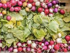 Mangia locale, mangia stagione