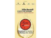Flysch, argille calcari: carattere vini. degustazione vini Federico Curtaz Forte Divino, aprile Villa Bertelli.