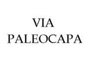 Paleocapa