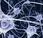 giochi BRAIN TRAINING funzionano!