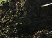 mese dalla corsa rosa, doping rientra nelle crona...