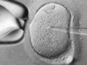 Fecondazione vitro