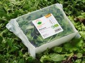 Presentata SANA 2010 l’eco-vaschetta compostabile l’insalata biodinamica