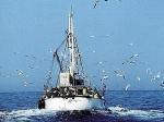 Attacco peschereccio: coprendo governo italiano?