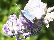 Shopping with bookhaolic Fotografia