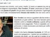 Teme cancro polmone: pianta