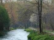 Pasquetta Cuneo? Trekking Parco fluviale Gesso Stura