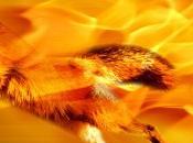 Firefox Metro presto disponibile Windows