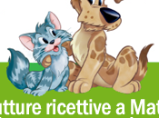 Vacanze animali Matera