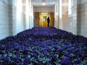 Anna Schuleit_Bloom 2003