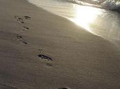 Gesù dona vende nulla Proverbio Rwanda