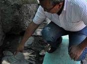 Altre scoperte nell'antica Tenochtitlan