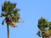 Sicilia: Pasquetta vento. Isolate isole minori