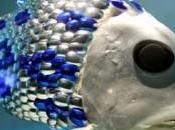 Consiglio nazionale delle ricerche Oristano Realizzato pesce-robot