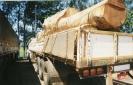 legno illegale peruviano finisce negli Stati Uniti