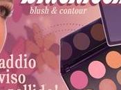 Preview Palette Blushissimi Neve Cosmetics