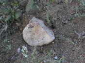 Scie chimiche: prova definitiva. “Chiamatemi Popper!”