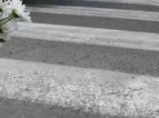 Crime News Roma: investe, uccide scappa. caccia pirata