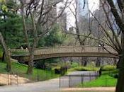 DanaGardenGuide York Central Park