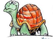 Tartarughe, cipolle pupa (non necessariamente quest'ordine).