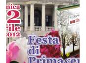 Metti legal thriller Primavera