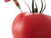 OGM: Regioni italiane ribadiscono loro 'no'