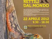 Eventi Bari edizione Rettili Mondo 2012
