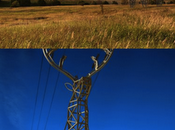 Tralicci elettrici forma cervo