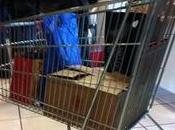 vino carrello: continua anche oggi mercato Vignaioli Trentino