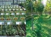 frutteto frutta antica visitato invidiato tutta Italia