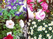 Spring fever lovers