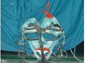 "Unità duale" Leggere poesia