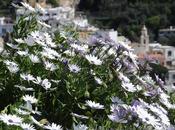 PENSIERINI positanesi...