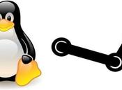 Steam arrivare Linux?