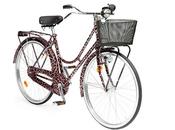 Dolce&Gabbana; Introduce Animalier Bicycle