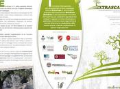 Extrascape: l'anteprima programma.