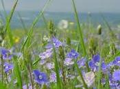 Ultima domenica questo aprile