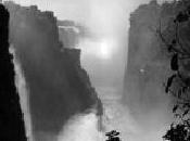 Nero sfumato. Ciao Elia