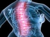 Osteoporosi: combatte vitamina