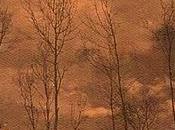 proposito bosco guerra