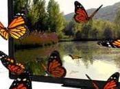 Creatività digitale: film animazione senza occhialini