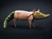 tocca perdonanza