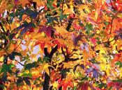 Estensione dell'amore...