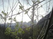 mountain tale