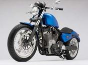 "Blue Sportster Custom" Todd Skeeter