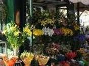 Aiutiamo giulio parisi elena chepurnova