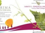 Anteprima vini della Costa Toscana Lucca mostra piccante Siena
