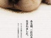 Film Giapponesi: Quill vita cane guida