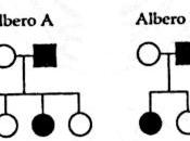 Alberi genealogici: esercizi soluzioni